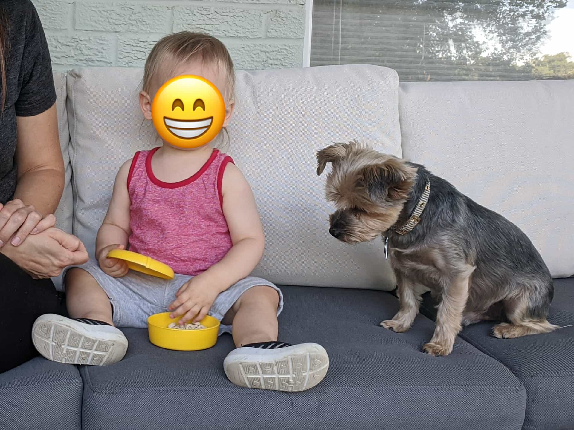 Griff, carefully eyeing our toddler son's cheerios