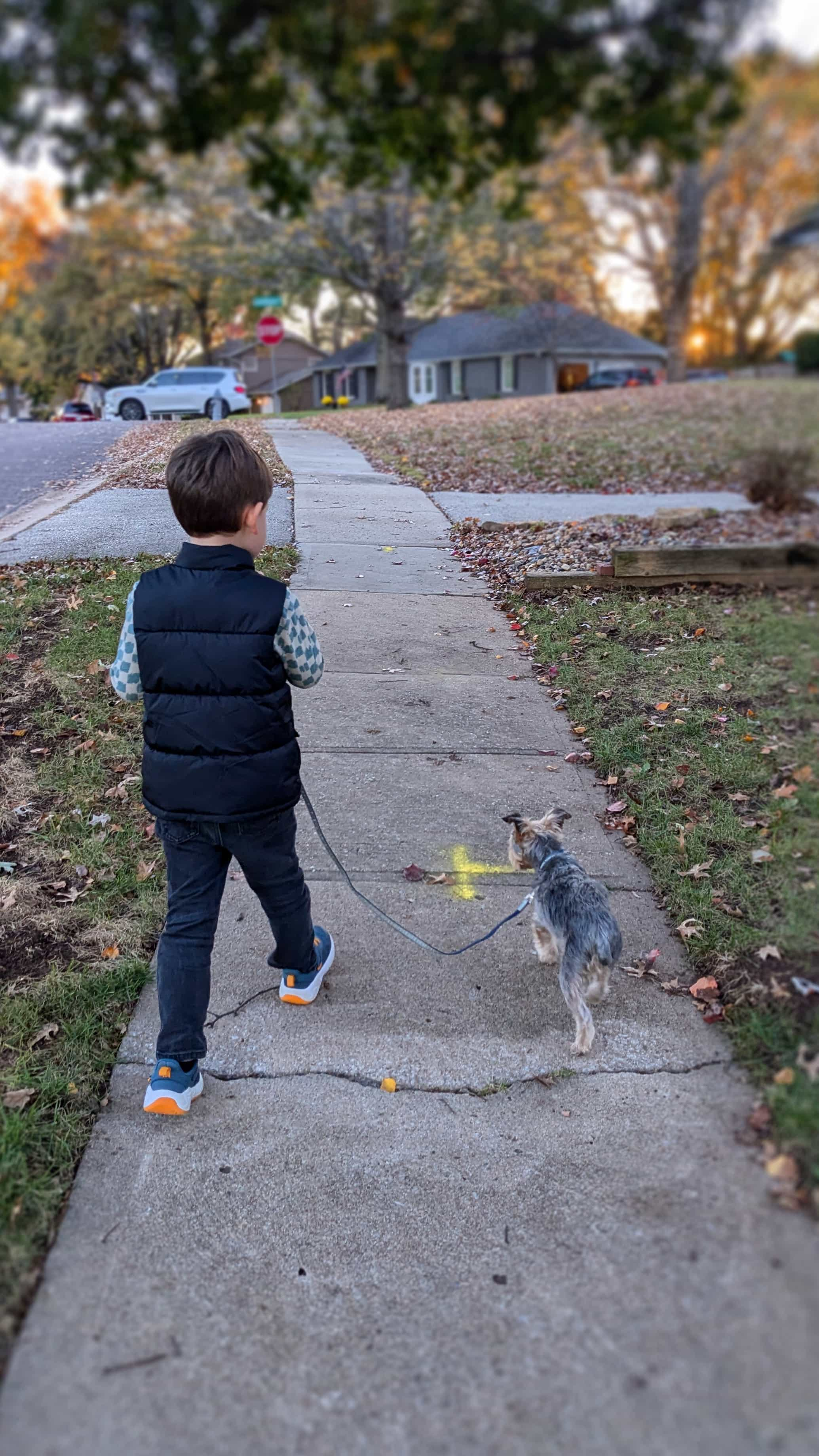 Our son, around 5 in this picture, walks Griff on his own on the sidewalk, the two of them side by side